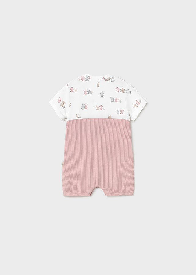 25-01616-036-L-5 25-01616-036-L-5