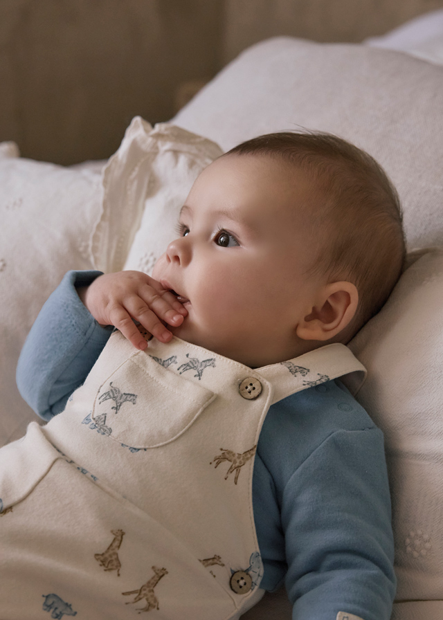 15-02618-061-L-1 15-02618-061-L-1